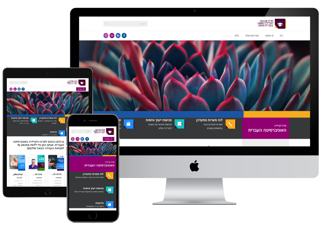 Web Application